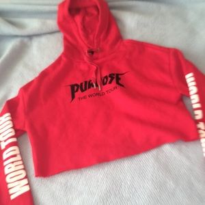 Justin Bieber PURPOSE world tour hoodie
